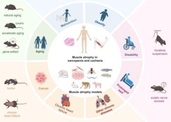 Figure 1: Various models for studying muscle atrophy