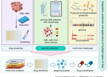 Exploring the Combined Proteogenomic and Pharmacological Landscape of Acute Myeloid