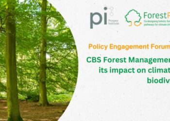 ForestPaths' Policy Engagement Forum (November 2024)