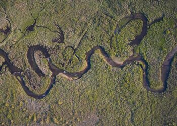 Aerial view of meandering river