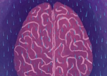 How Deep Sleep Literally Refreshes a Mouse’s Mind