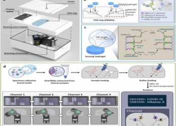 INU Scientists Develop New “TwinDemic” Diagnostic System for Rapid Viral Testing