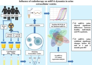 Illustration of the study design: Collection of urine samples, followed by the isolation of extracellular vesicles (EVs) from the samples. Extracting microRNA (miRNA) from EVs. These extracted miRNAs were then subjected to further detailed analysis, provi