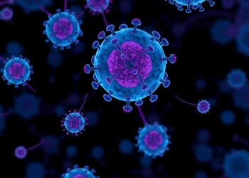 Introducing a New Tool to Enhance Cancer Subtype Classification for Researchers