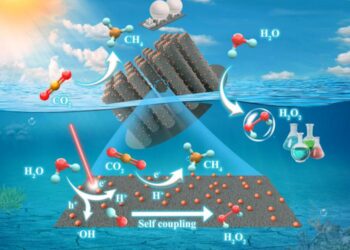 Structural and Functional Overview of Zn-GaN Catalyst