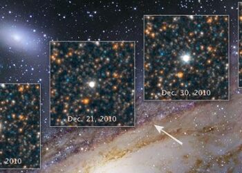 Hubble M31 Cepheid Variable Star V1