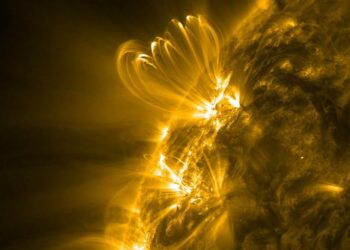 Coronal Loops