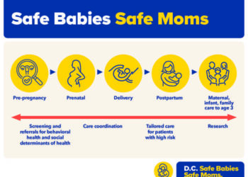 Safe Babies Safe Moms care delivery model