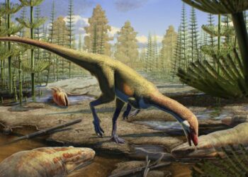 New Analysis Suggests Dinosaurs Roamed Northern Hemisphere Millions of Years