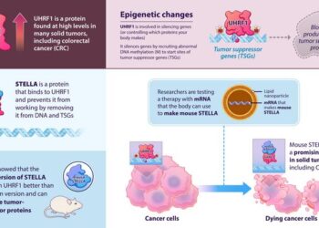 New Epigenetic Strategy Unveiled by Scientists to Combat Colorectal Cancer