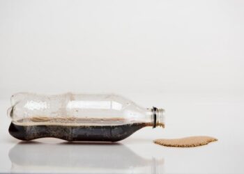 Burdens of type 2 diabetes and cardiovascular disease attributable to sugar-sweetened beverages in 184 countries