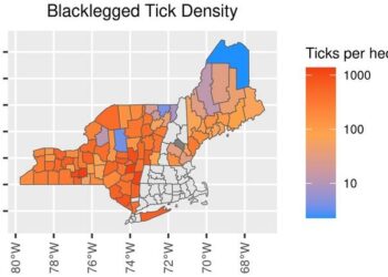Blacklegged tick density in the Northeast