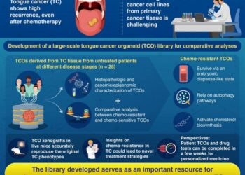 Oral Cancer Organoids Uncover Insights into Chemotherapy Resistance
