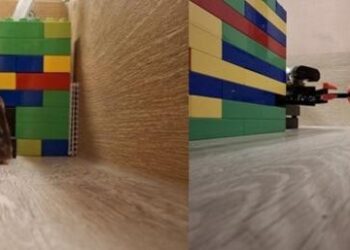 Rats Anticipate Food-Guarding Robots’ Locations During Foraging Activities