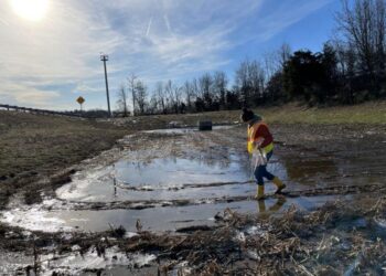 Megan Rippy collects soil samples at a stormwater detention basin along Interstate 95 in Northern Virginia.