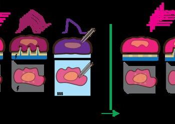 AI reading inside cells - 1