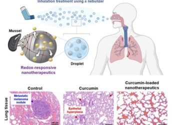 Schematic Diagram of Inhalable Mucoadhesive Nano-anticancer Drug Based on Mussel Adhesive Proteins