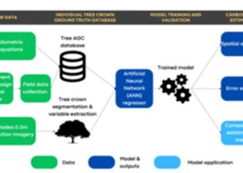 Flowchart of the methodology for the AGC estimation at individual tree level.