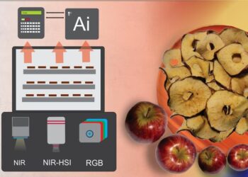 Composite image of a chart and a photo of apples and dried apple slices