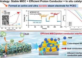 Breaking the traditional interface design: Regular interface engineering enhances efficient proton transfer and long-term stability of proton ceramic electrolyte cells with composite steam electrodes