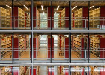 São Paulo to host School on University, Memory and Reparation
