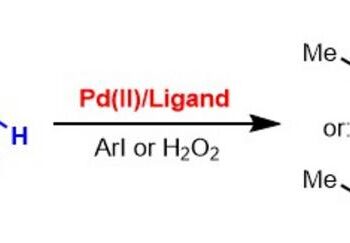 Scripps Research chemists unlock the potential of ketone and ester molecules, paving the way for greener and more efficient drug development