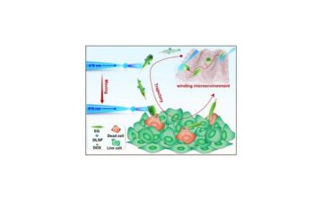 Soft Microalga Robot Enhanced by Photonic Nanojet Technology