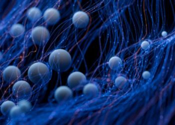 Stunning Revelations: Groundbreaking Discoveries Unveiled!
