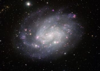 Galaxy NGC 300