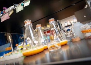 Microbial cell factories aid study of elusive plant molecules - 1