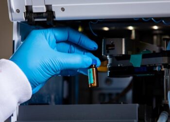 Unlocking the Brain: 11 Genes That Illuminate the Impact of