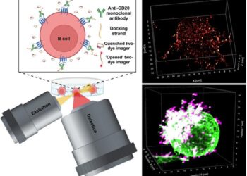 Super-resolution Microscopy LLS-TDI-DNA-PAINT