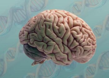 Brain and DNA