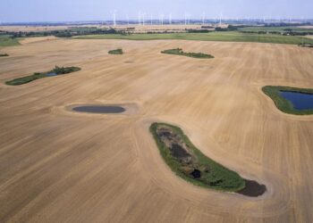 Wind Turbines Disrupt Bat Access to Water Sources in Agricultural