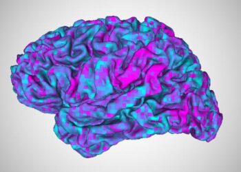Brain activity while watching videos