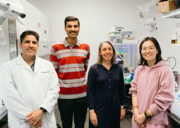 Research Team