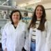 The CRISPR Technique Helps Reveal How Bean Genes Could Improve Nitrogen Fixation