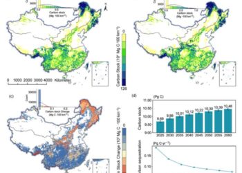 AGC storage in China’s natural forests