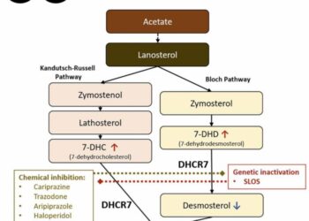 Commonly used prescription medications have a post-lanosterol biosynthesis inhibiting effect.