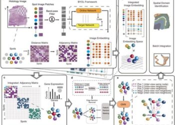 Overview of the STAIG framework