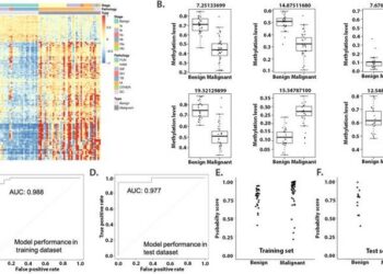 Differential methylation in the tissue cohort