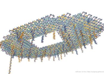 DNA Origami Suggests Route to Reusable, Multifunctional Biosensors