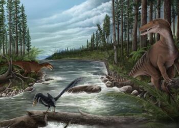 Cretaceous Australia Landscape. Artwork by Jonathan Metzger. Source - Museums Victoria
