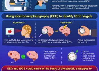 Therapeutic Potential of EEG-Guided tDCS in Aphasia