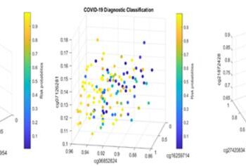 VISUALIZATION OF SITE-SITE RELATIONSHIP AND SITE-RISK PROBABILITIES