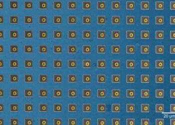 microhole electrode array