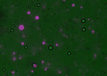 Formation of polyester protocells under early Earth-like conditions