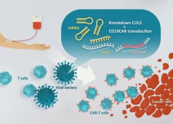 Knockdown of CUL5 gene enhances CAR-T cells’ prolification