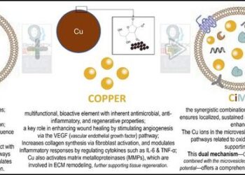 Revolutionary copper-infused microvesicles: a new era in biofunctional medicine