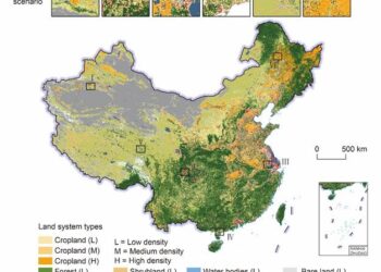 Figure of land system simulation map in 2100